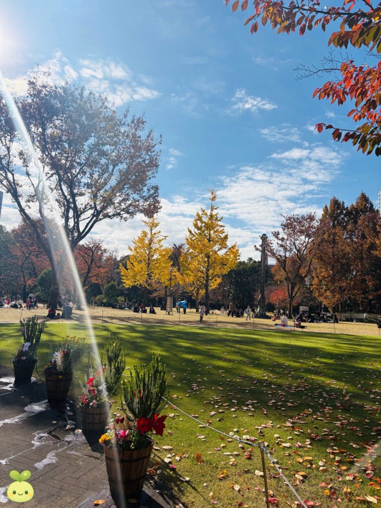 Kadomatsu New Year decorations placed along a walking path at Shinjuku Central Park on a sunny autumn day

