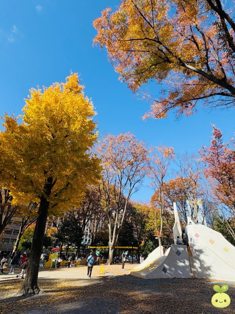 Autumn trees and a playground at Shinjuku Central Park, a family-friendly spot for children
